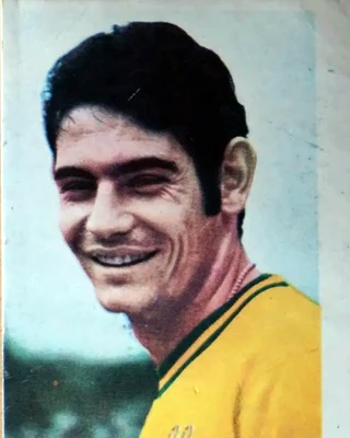 RIVELLINO
