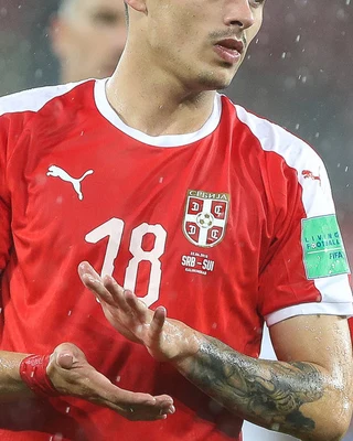 Nemanja RADONJIC