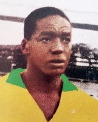 JOEL CAMARGO