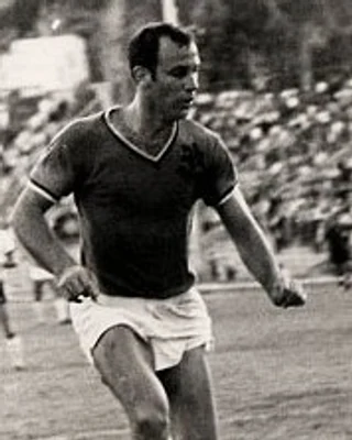 Dani SHMULEVICH ROM