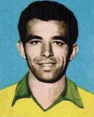 VAVA