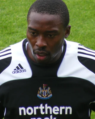 Shola AMEOBI