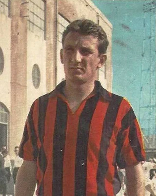 Mario DAVID