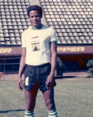 RODRIGUES NETO